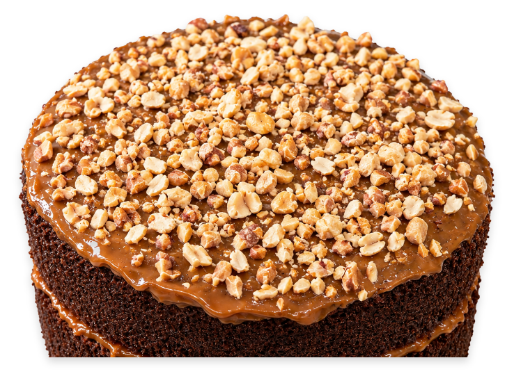 Chcolate SNickers Cake Gluten Free Birthday Cake