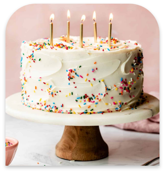 Gluten Free Vanilla Sprinkles Cake